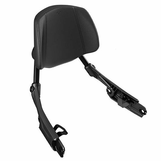 Can-Am abnehmbare Beifahrer-Rückenlehne Spyder 219401180