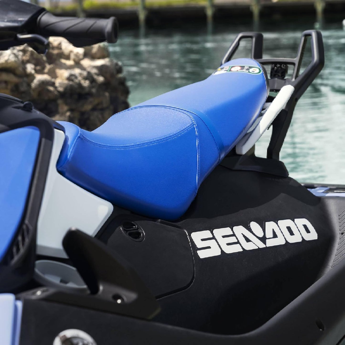 Sea-Doo OEM Spark Spotter Griff und Kamerahalterung, 295101145